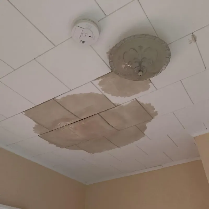 Ceiling Water Damage Repair in Florence County, WI